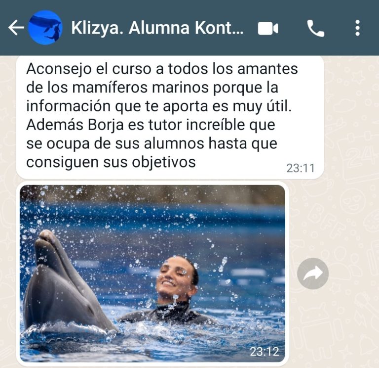Opiniones Borja Vivó7