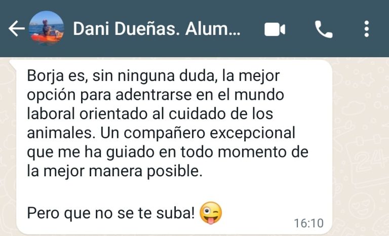 Opiniones Borja Vivó8